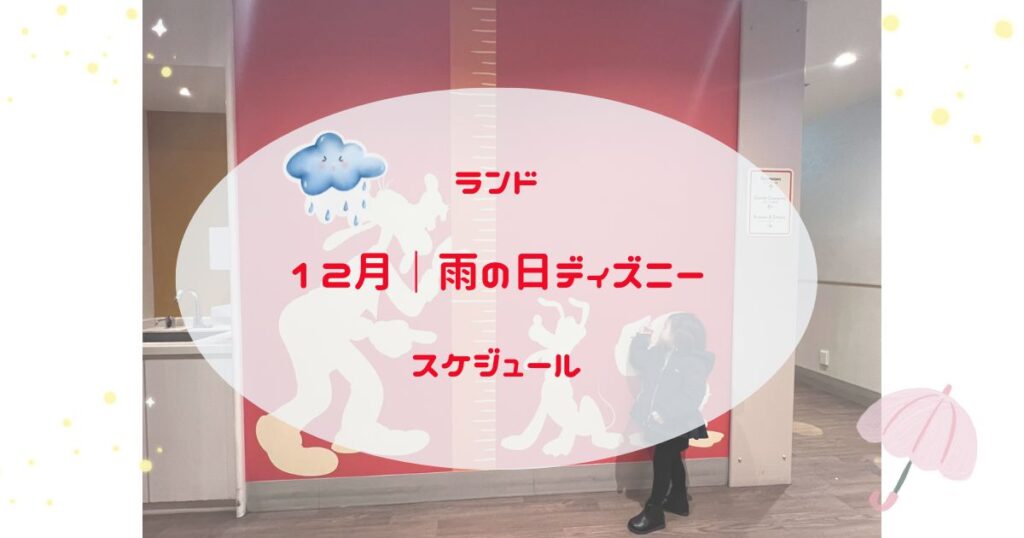 12月の雨の日のディズニーランドの回り方スケジュール