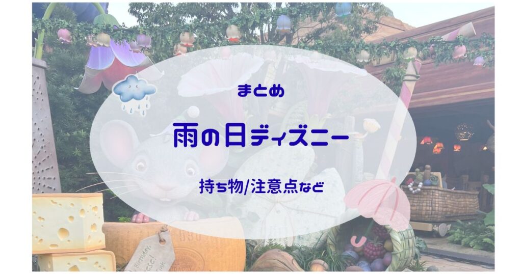 雨の日ディズニーのまとめ